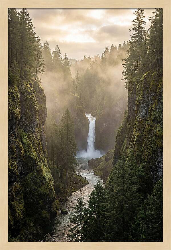 Savage Gulf Waterfall Serenity
