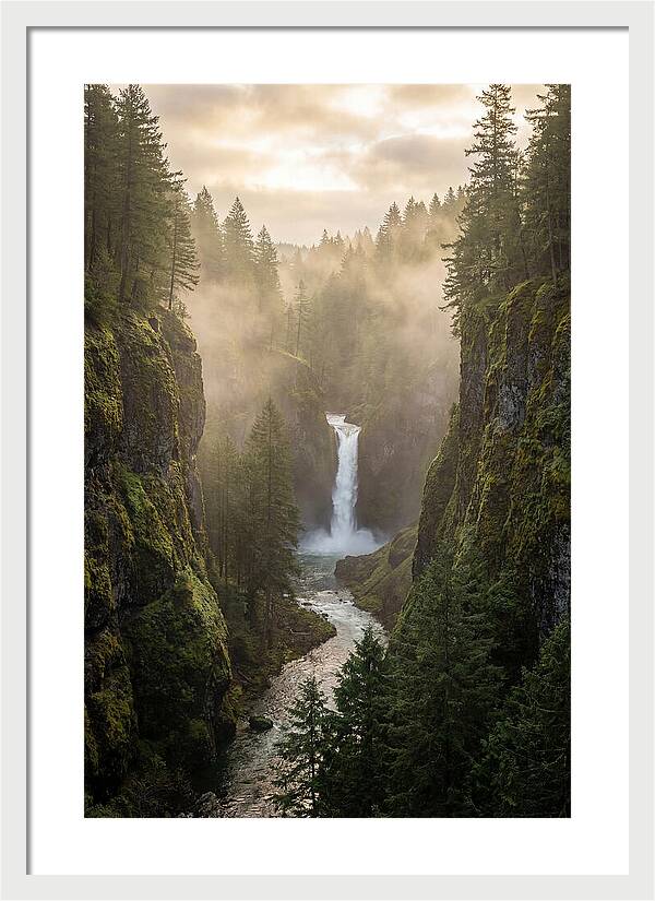 Savage Gulf Waterfall Serenity