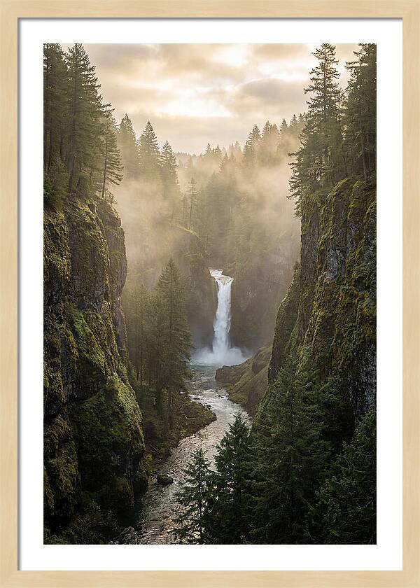 Savage Gulf Waterfall Serenity