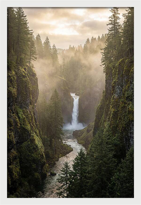 Savage Gulf Waterfall Serenity
