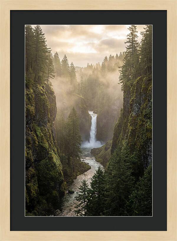 Savage Gulf Waterfall Serenity