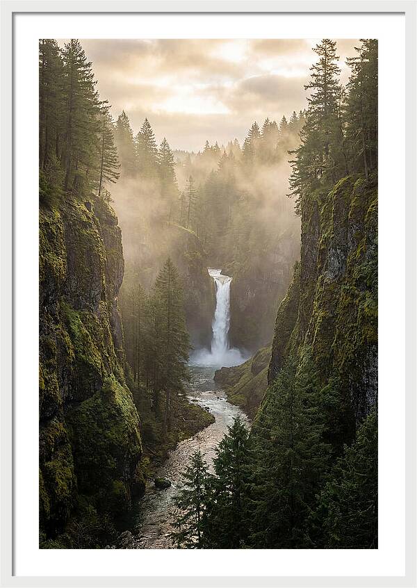 Savage Gulf Waterfall Serenity