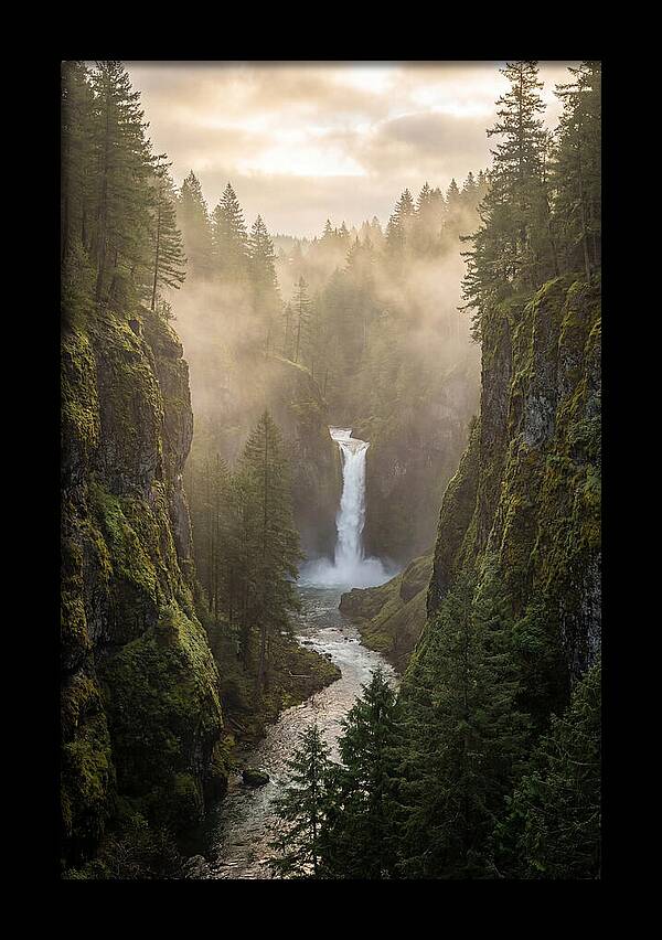 Savage Gulf Waterfall Serenity