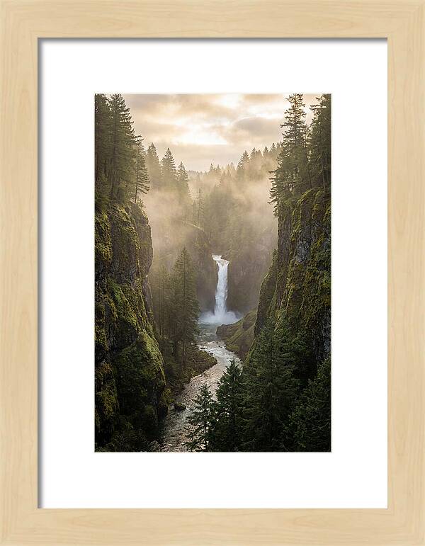 Savage Gulf Waterfall Serenity