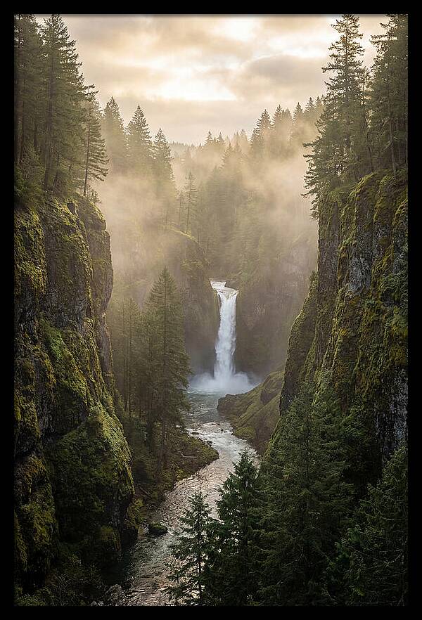 Savage Gulf Waterfall Serenity