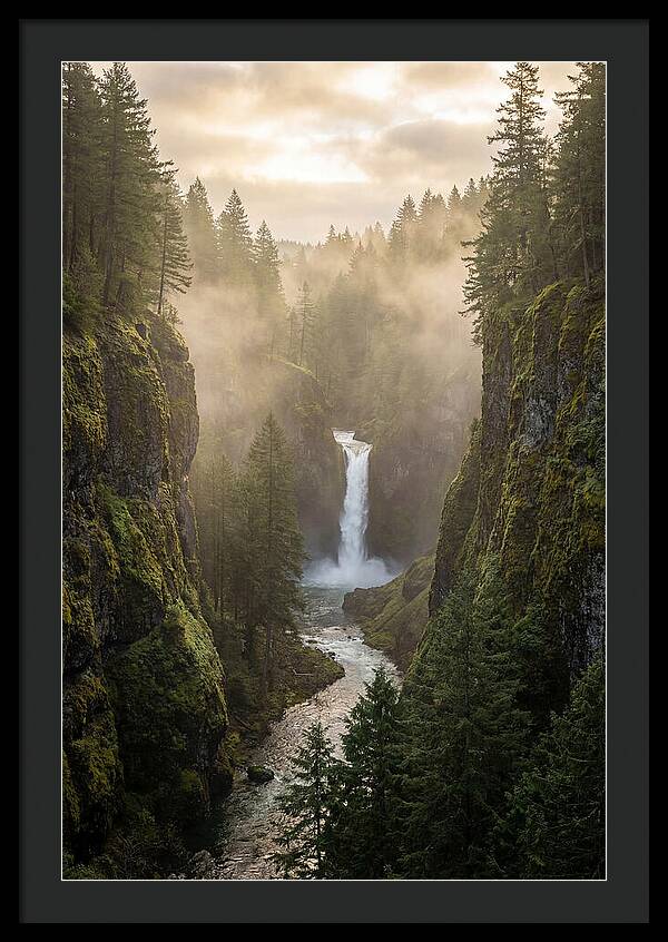 Savage Gulf Waterfall Serenity