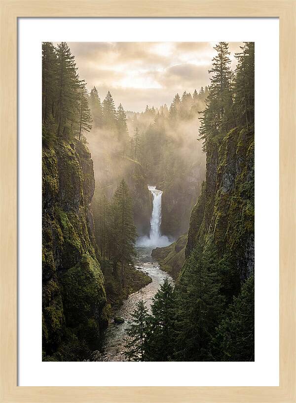 Savage Gulf Waterfall Serenity