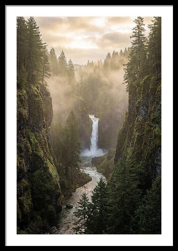 Savage Gulf Waterfall Serenity
