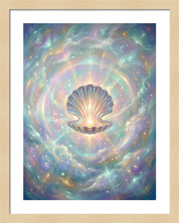 Scallop Shell