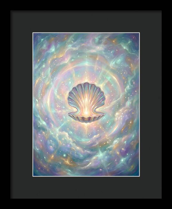 Scallop Shell