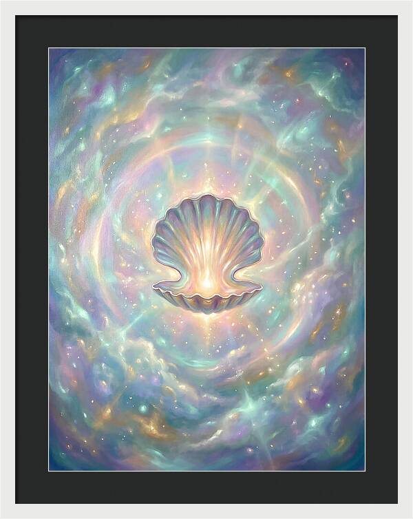 Scallop Shell