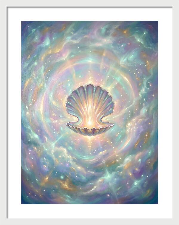 Scallop Shell