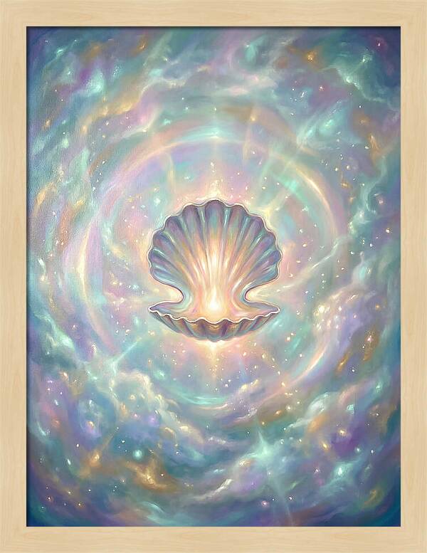 Scallop Shell