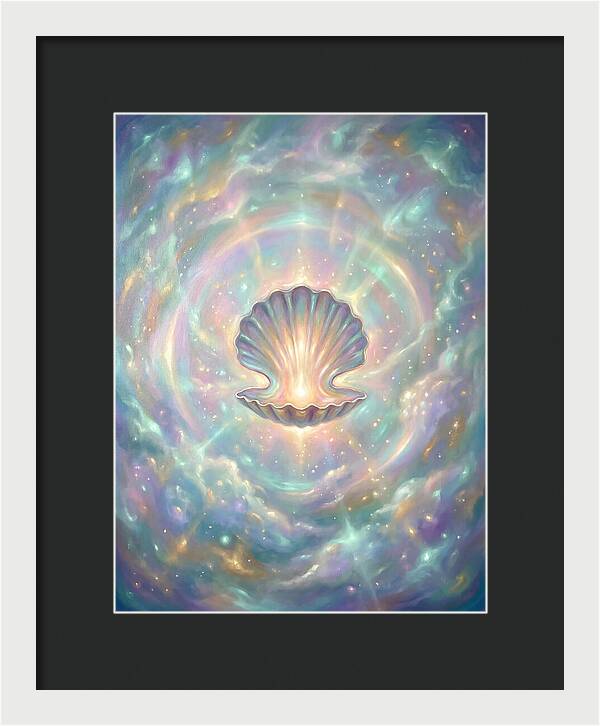 Scallop Shell