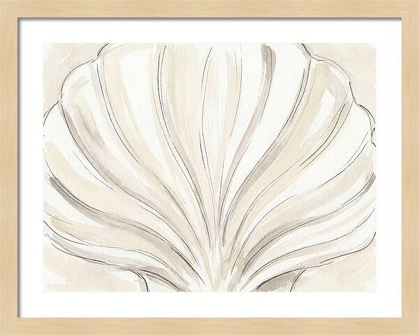 Scallop Shell Elegance