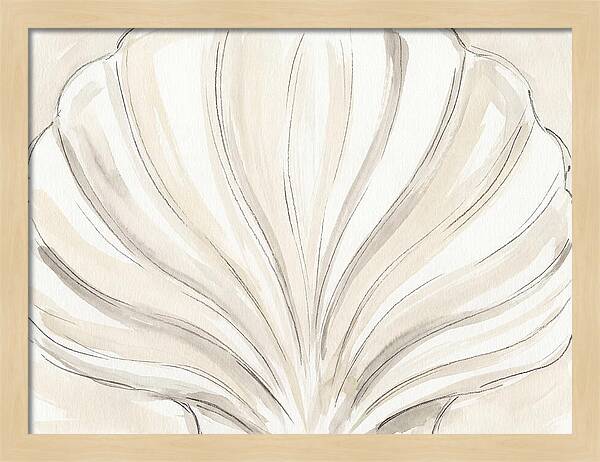 Scallop Shell Elegance