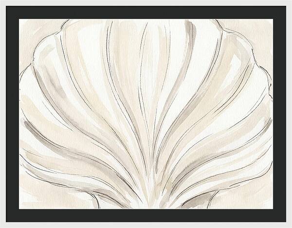 Scallop Shell Elegance