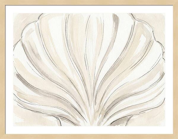 Scallop Shell Elegance