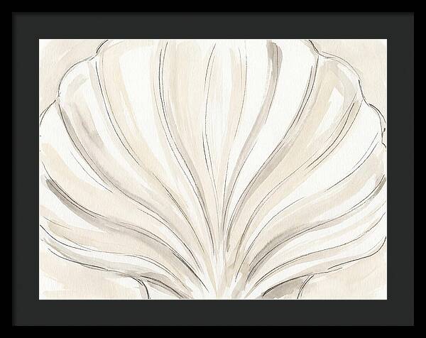 Scallop Shell Elegance