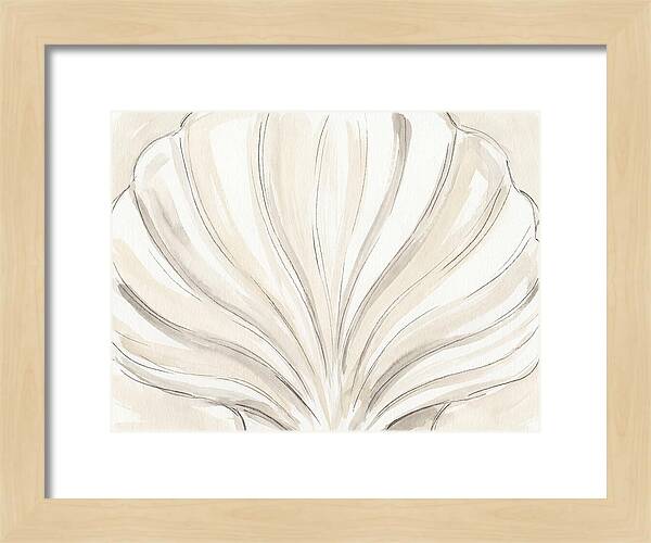 Scallop Shell Elegance