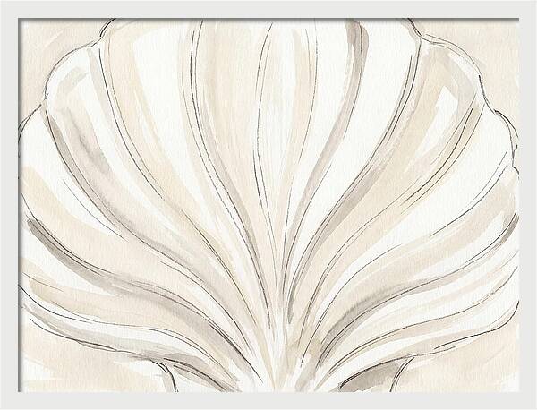 Scallop Shell Elegance