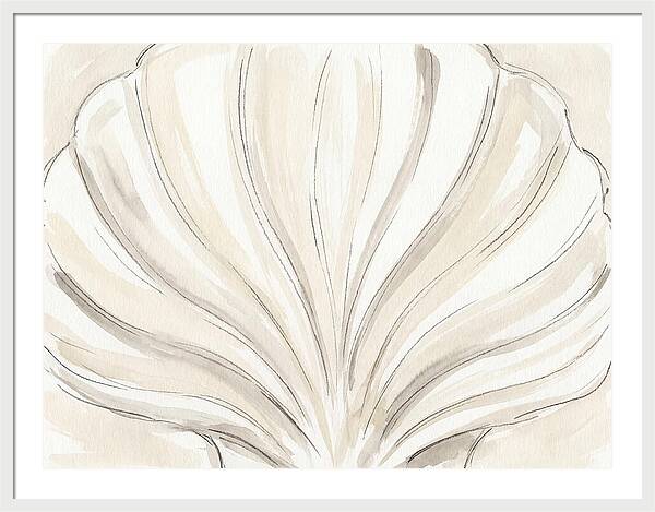 Scallop Shell Elegance