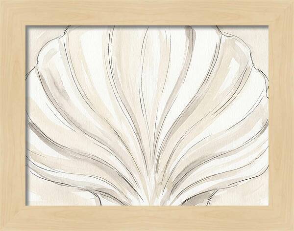 Scallop Shell Elegance