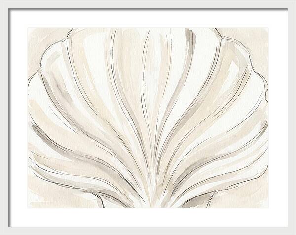 Scallop Shell Elegance