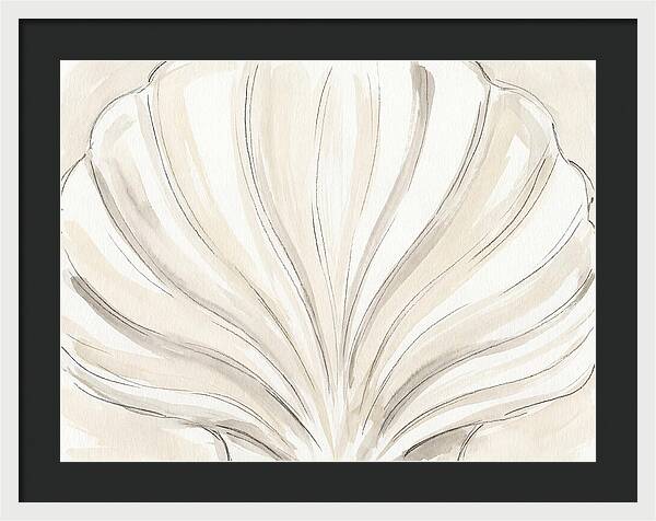 Scallop Shell Elegance