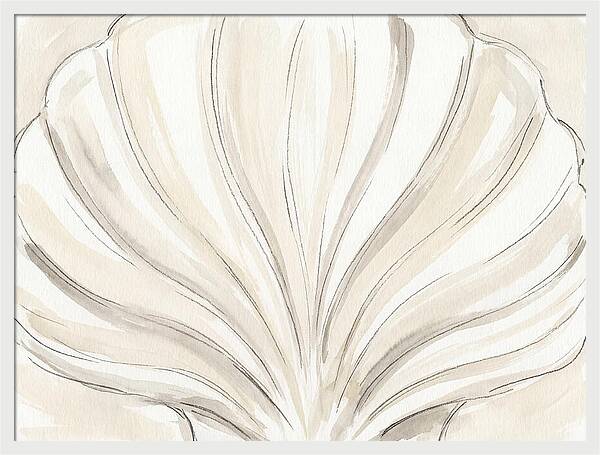 Scallop Shell Elegance