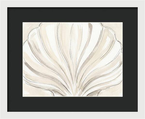 Scallop Shell Elegance