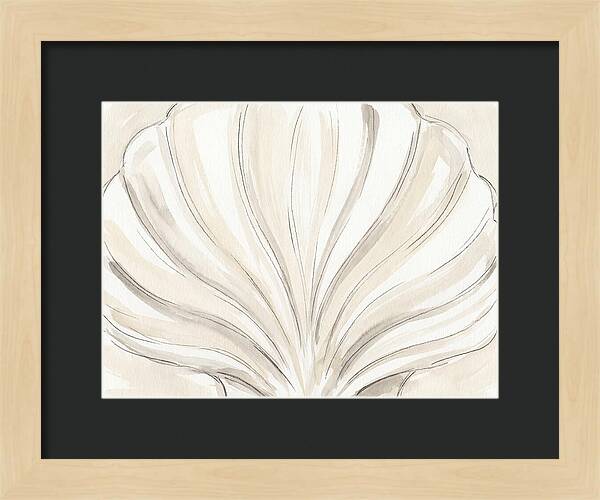 Scallop Shell Elegance