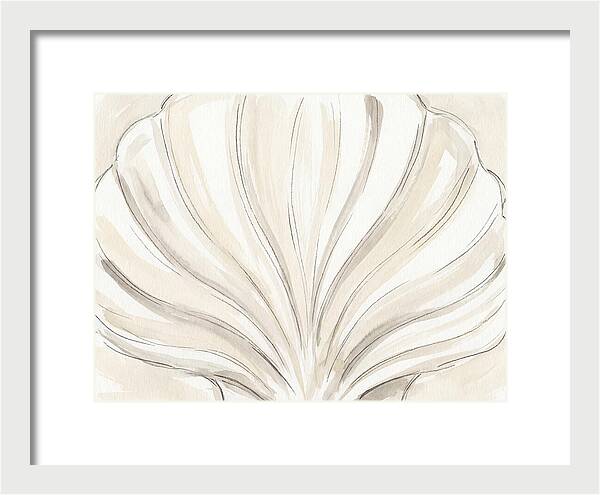 Scallop Shell Elegance