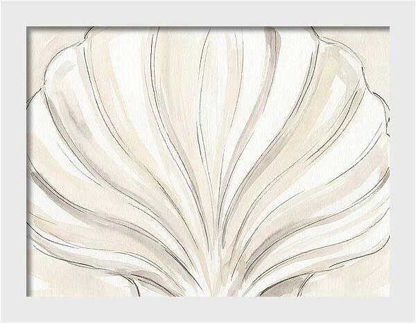 Scallop Shell Elegance