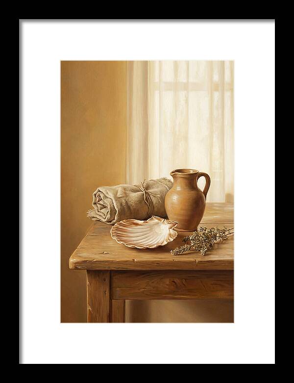 Scallop Shell Still Life