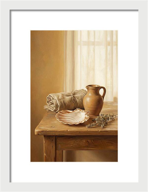 Scallop Shell Still Life