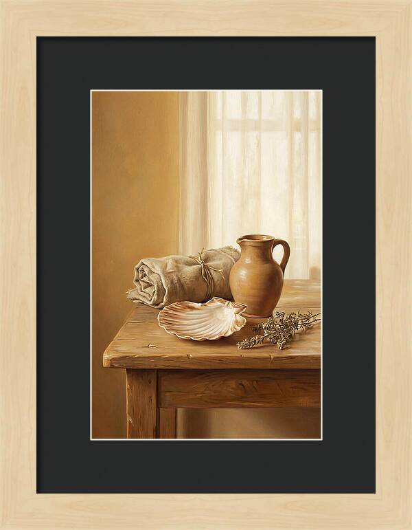 Scallop Shell Still Life