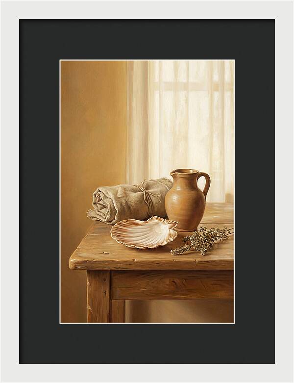 Scallop Shell Still Life