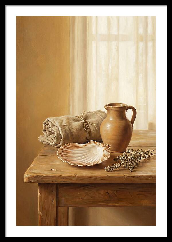Scallop Shell Still Life