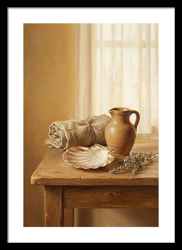 Scallop Shell Still Life