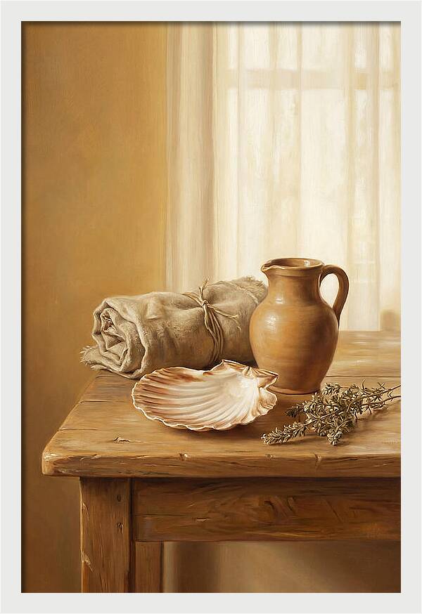 Scallop Shell Still Life