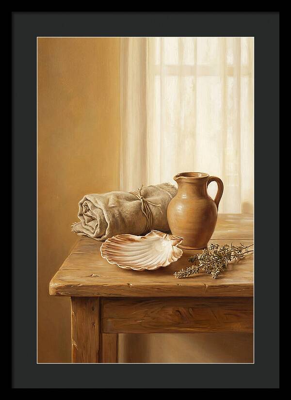 Scallop Shell Still Life
