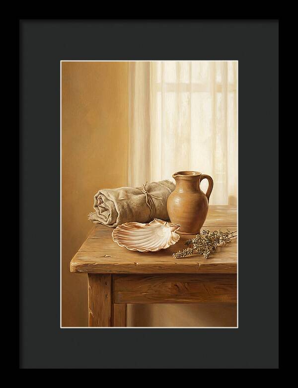 Scallop Shell Still Life