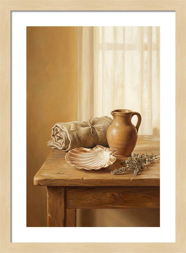 Scallop Shell Still Life