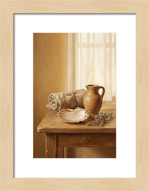 Scallop Shell Still Life