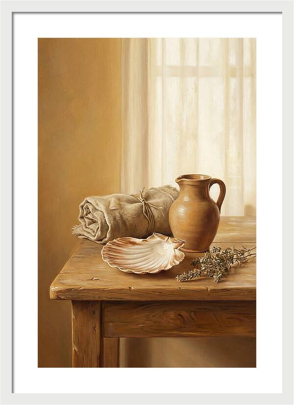Scallop Shell Still Life