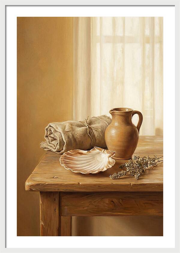 Scallop Shell Still Life
