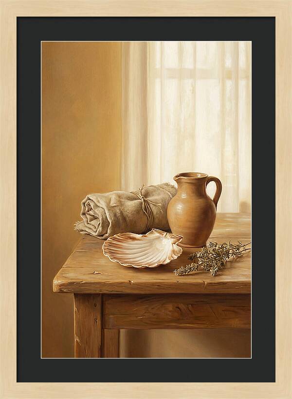 Scallop Shell Still Life