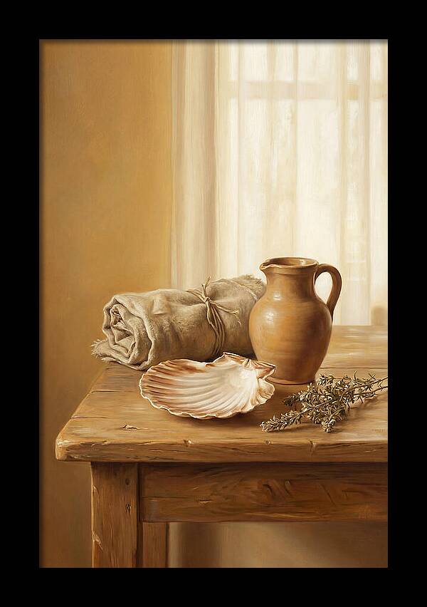 Scallop Shell Still Life