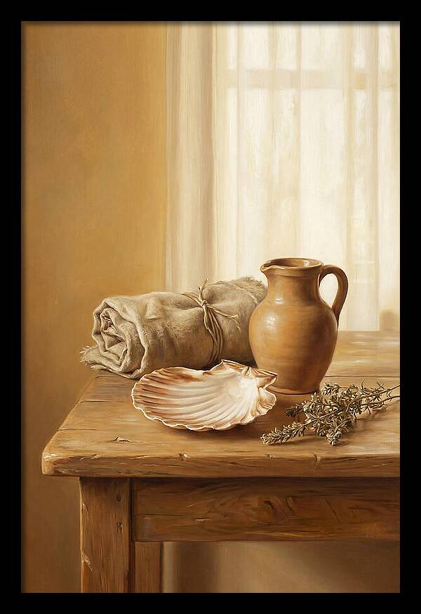 Scallop Shell Still Life